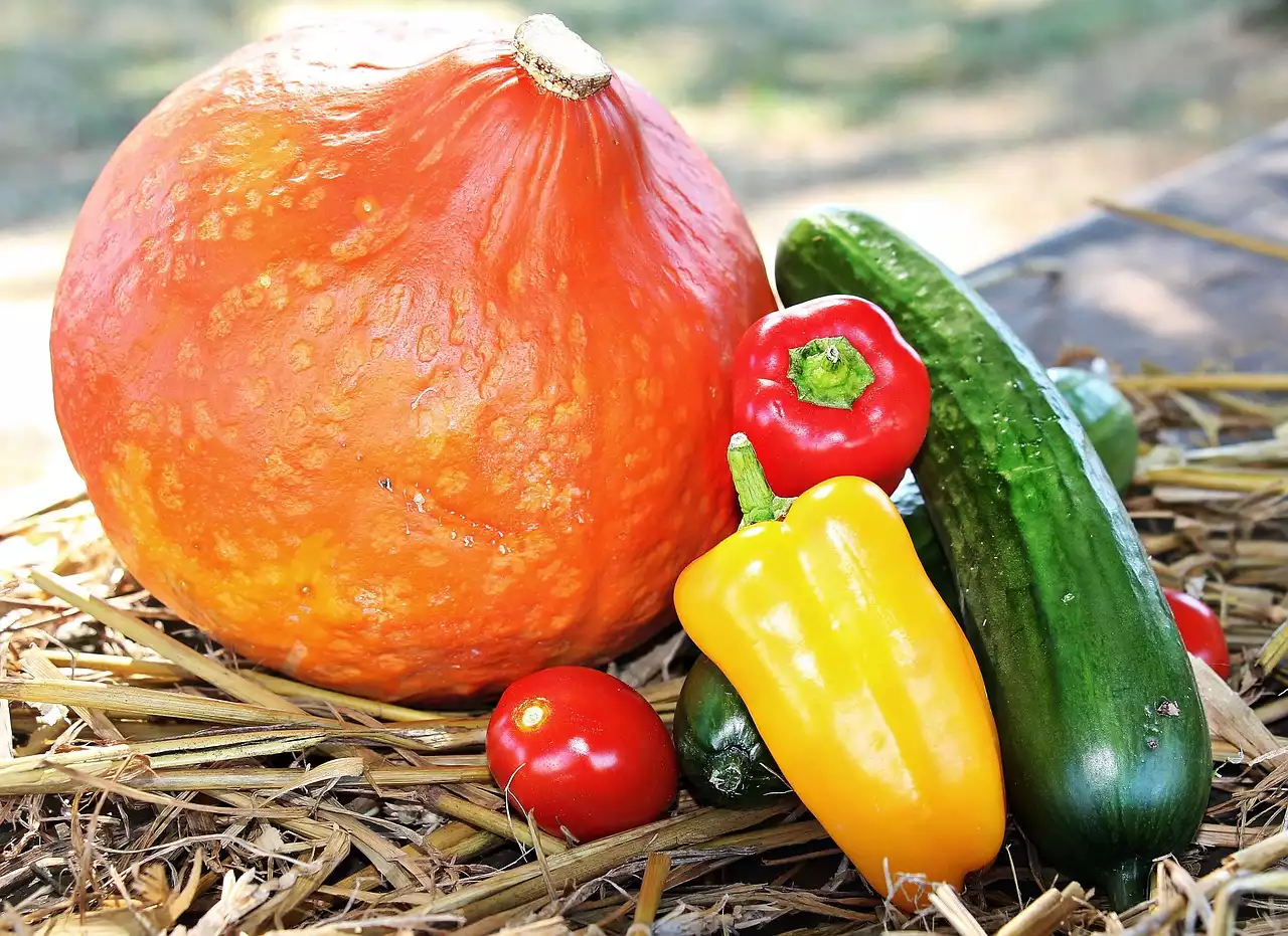 Das Beste aus saisonalen Produkten machen: Ein Leitfaden für Herbstgemüse